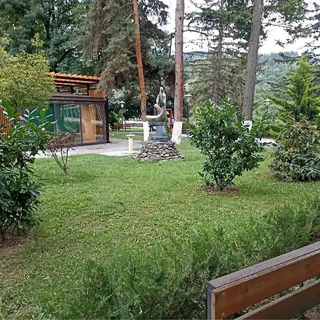 Tamar'S Apartment Borjomi Exterior photo